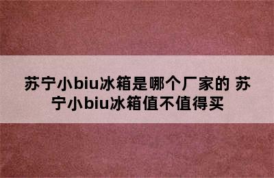 苏宁小biu冰箱是哪个厂家的 苏宁小biu冰箱值不值得买